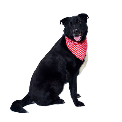 Dog Bandana